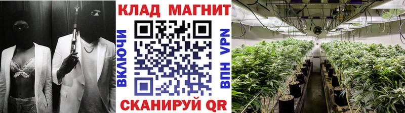 Магазин наркотиков Новосокольники ГАШ APVP КОКАИН Псилоцибиновые грибы Конопля Меф мяу мяу